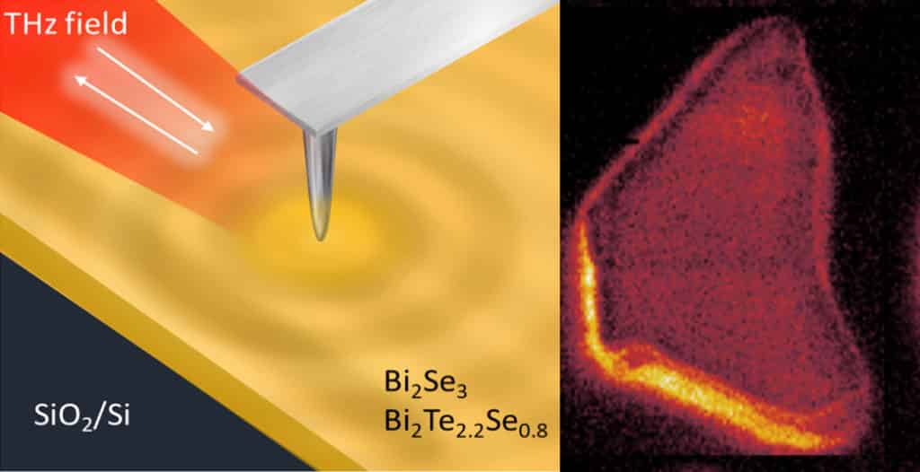 Novel quantum states of matter disclosed with near-field microscopy ...