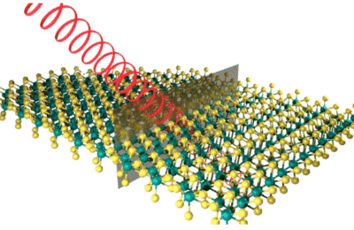 Excitonic and topological order in T'-MoS2