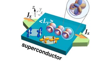 Novel orbitronic effects in superconducting materials