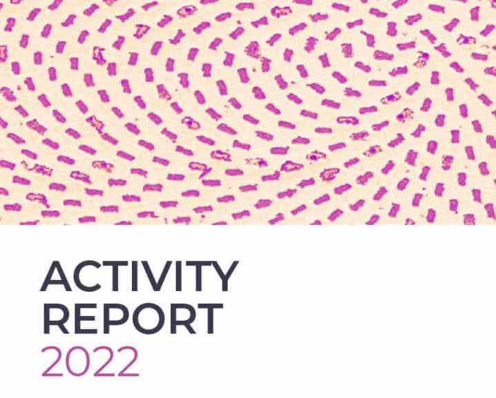 The new Cnr Nano Activity Report is out!