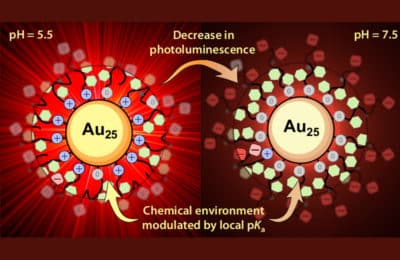 Shedding light on pH-sensitive photoluminescence