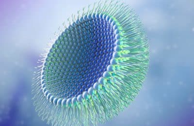 Innovative micelles for brain drug delivery in REMEDY Project