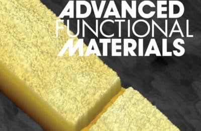Advancing superconducting electronics: a new platform development at Cnr Nano
